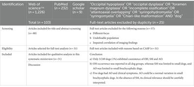 Systematic minireview of the craniocervical junction in dogs with and without brachycephaly